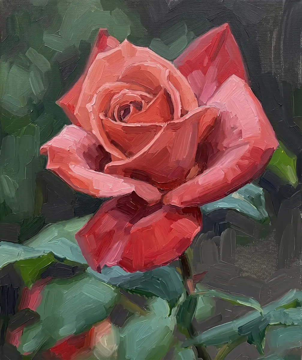 Single Coral Rose